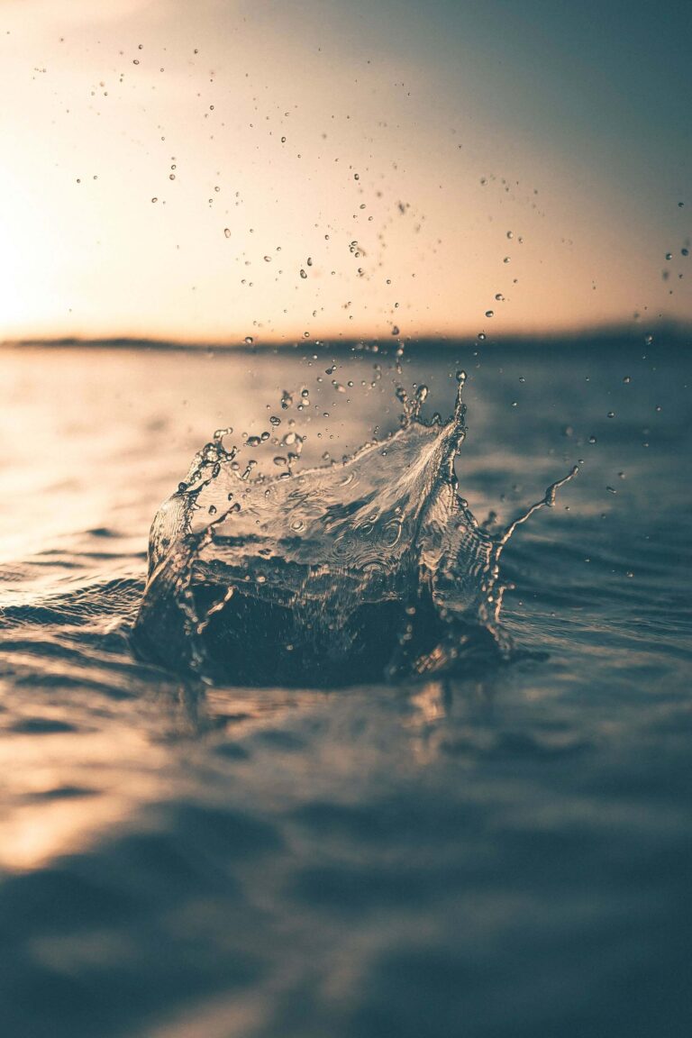 Why Water is Your Body’s Best Friend 1 water