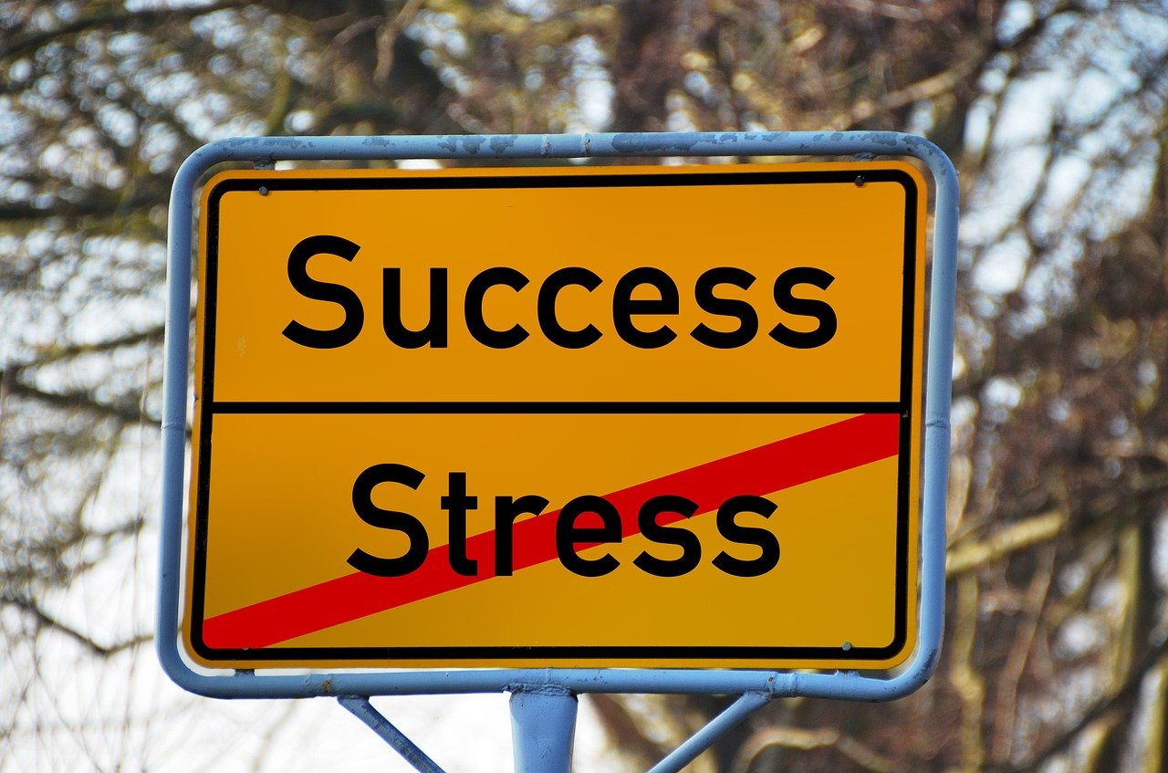What is Mental Health? A Guide to Your Emotional and Psychological Wellness 1 a plate written on it being success, not to be stressed