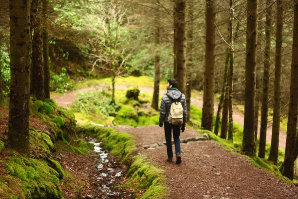 How to Identify Strengths and Weaknesses Easily 1 a person takes a walk in nature