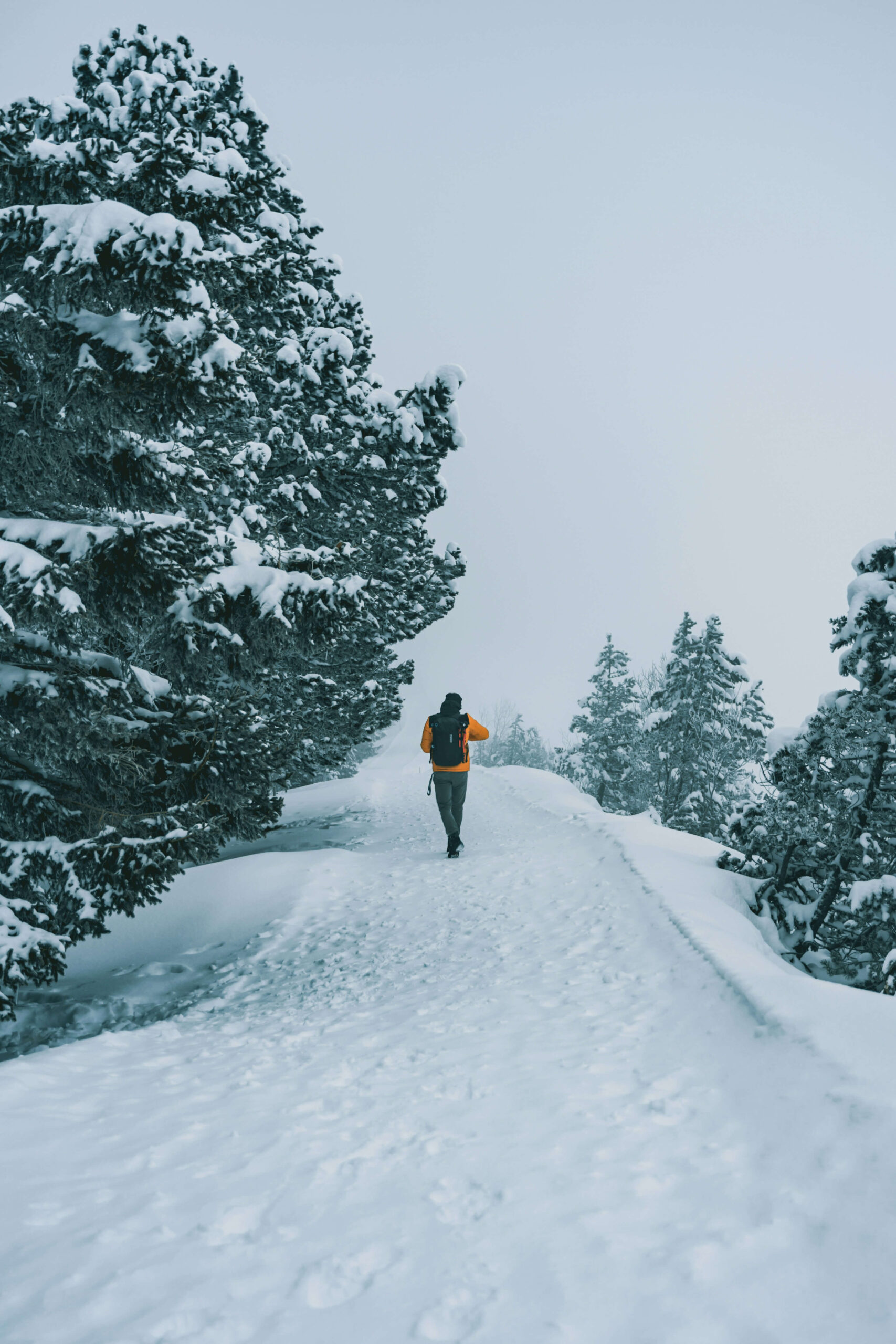 walking on the snow during winter season